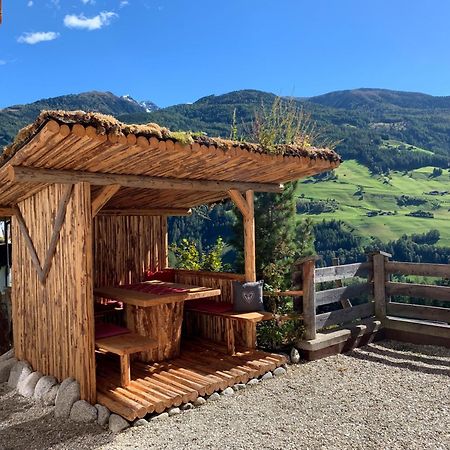 Enzianhof - Nature Apartments Ahrntal Bagian luar foto