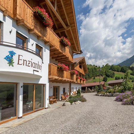 Enzianhof - Nature Apartments Ahrntal Bagian luar foto