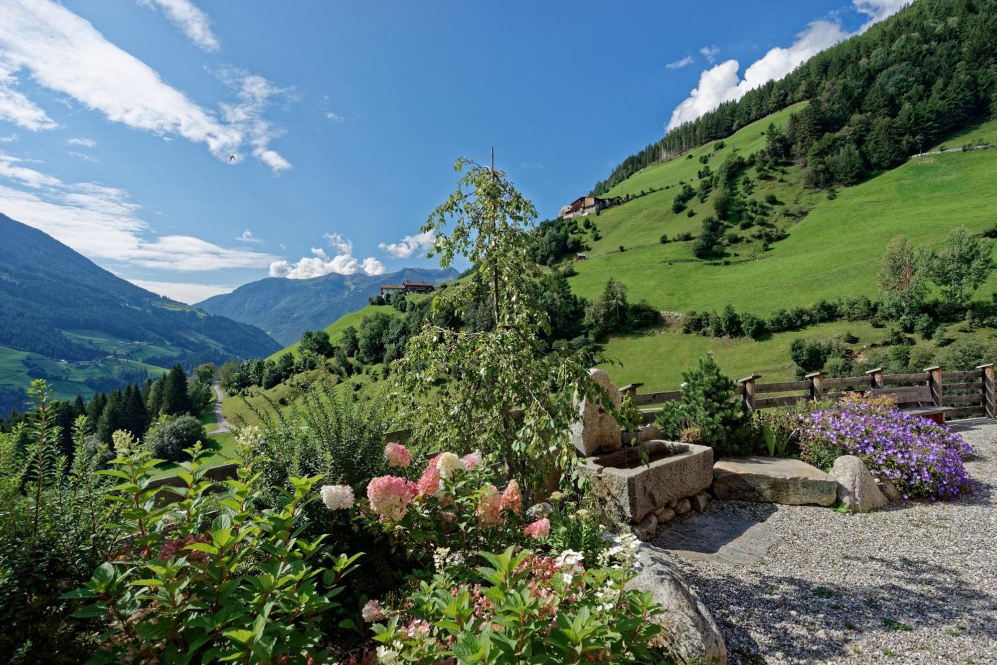 Enzianhof - Nature Apartments Ahrntal Bagian luar foto