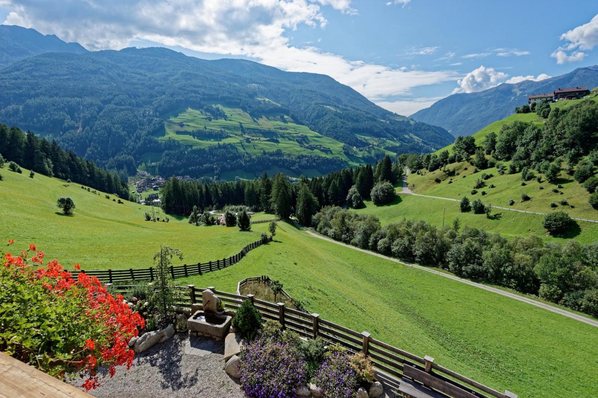 Enzianhof - Nature Apartments Ahrntal Bagian luar foto